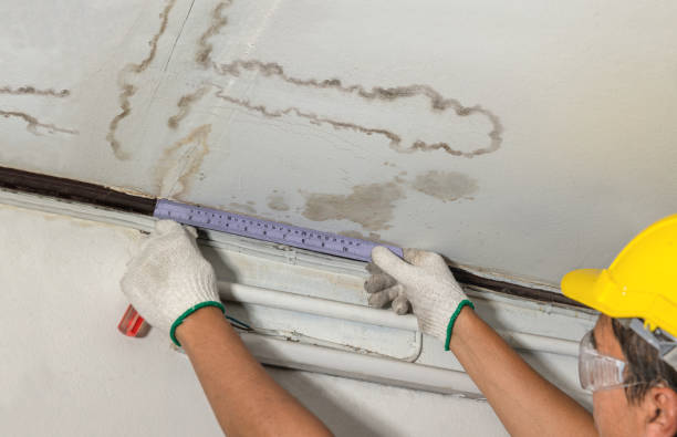 Reliable Water Damage Restoration contractor in Parker, CO by Water Damage Irwin
